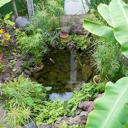 408 Enchanting El Dorado Accommodation, Sea View! *